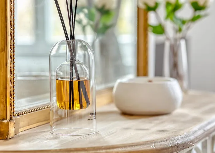 Le Lauroise Magnifique F2 Place Des Carmes Appartamento *